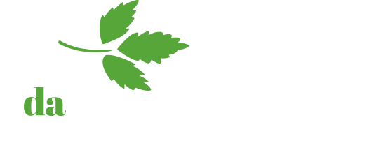 Logo daSilvaJardins